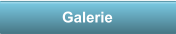 Galerie